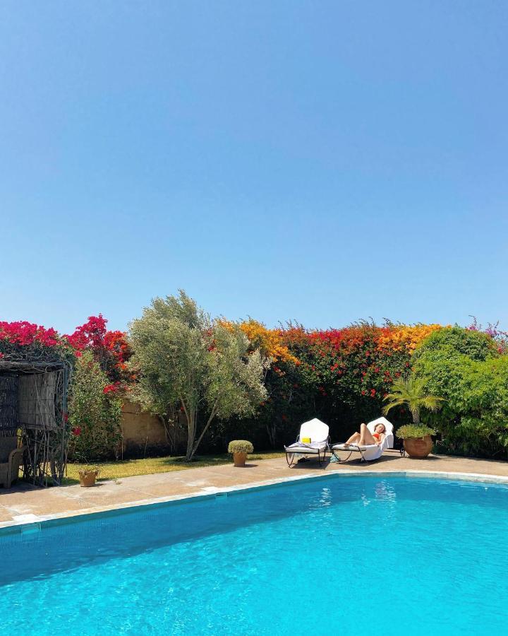 Maison Mimosa, Lovely 3 Bedroom Villa With A Large Pool เอสเซาอิรา ภายนอก รูปภาพ